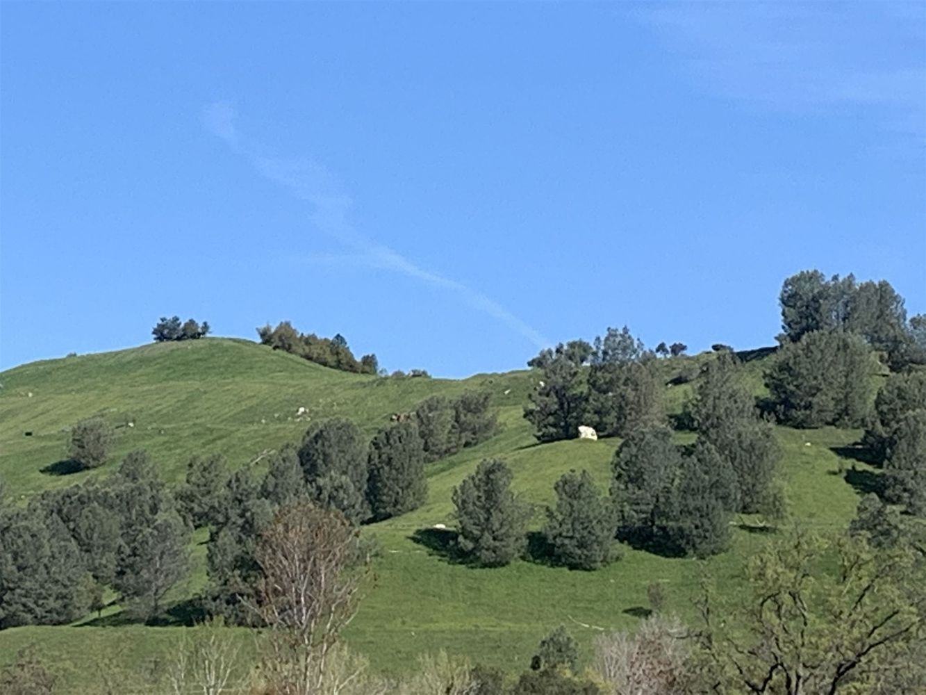 9800 Victoria, Jamestown, CA 95327